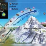 ทาร์บอลในชั้นบรรยากาศเทือกเขาหิมาลัย, Whale Energy Station