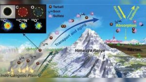 ทาร์บอลในชั้นบรรยากาศเทือกเขาหิมาลัย, Whale Energy Station
