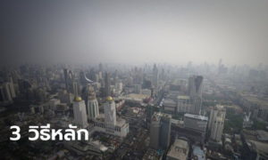 รัฐบาลชู 3 แนวหลัก แก้ปัญหา PM2.5 กลับมาอีกครั้ง, Whale Energy Station