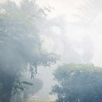 ป้องกันไฟป่าด้วยเทคโนโลยี, Whale Energy Station