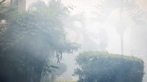 ป้องกันไฟป่าด้วยเทคโนโลยี, Whale Energy Station