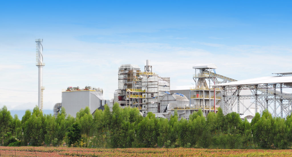 ACE ร่วมแก้ปัญหาฝุ่น PM 2.5 เปิดรับซื้อวัสดุการเกษตร 50 ชนิด ป้อน 12 โรงไฟฟ้าชีวมวลทั่วประเทศ