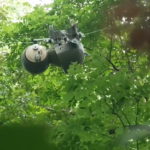 Slothbot หุ่นยนต์สโลว์ไลฟ์ช่วยให้มนุษย์เข้าใจธรรมชาติมากขึ้น, Whale Energy Station