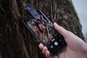 ซัมซุง ร่วมสนับสนุนโครงการพัฒนากล้องจุลทรรศน์จากสมาร์ทโฟน โดยคณะวิทย์ จุฬาฯ ส่งเสริมการศึกษาวิทยาศาสตร์ใน 2,500 โรงเรียนชายขอบทั่วประเทศ, Whale Energy Station