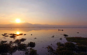 “พะเยา” ก้าวไปอีกขั้น เตรียมผลักดันสู่ “เมืองแห่งการเรียนรู้“ ยูเนสโก, Whale Energy Station