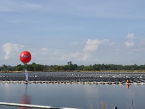 ไออาร์พีซี โชว์นวัตกรรมทุ่นโซลาร์ลอยน้ำใช้เม็ดพลาสติก “POLIMAXX” ใหญ่สุดในภูมิภาค, Whale Energy Station