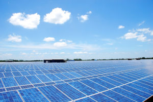 “GULF” เดินเกมตั้งบริษัทย่อยลุยธุรกิจพลังงานแสงอาทิตย์ทุกรูปแบบ, Whale Energy Station