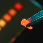 เปลี่ยนเสื้อผ้า ให้ผลิตพลังงานแสงอาทิตย์, Whale Energy Station