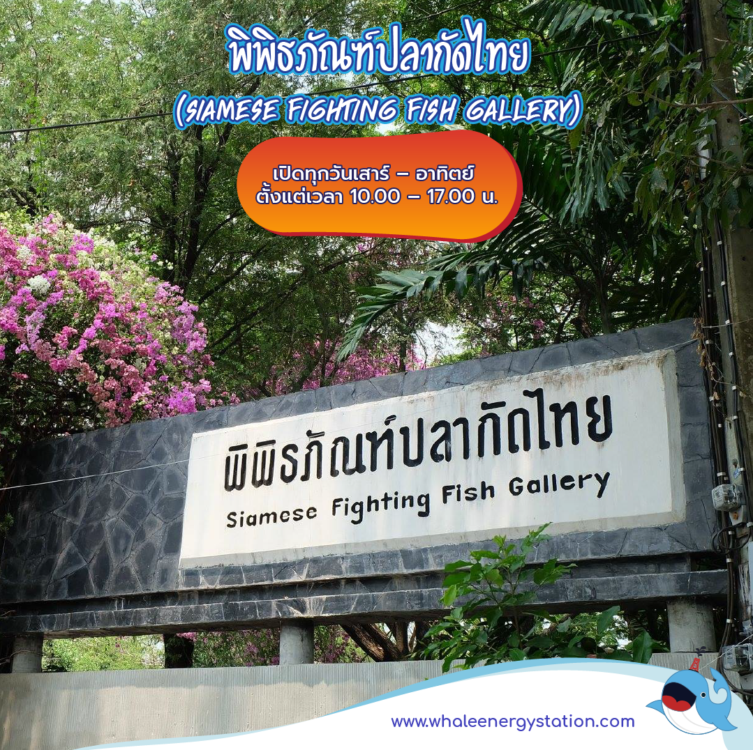 5 พิพิธภัณฑ์และศูนย์เรียนรู้ในกรุงเทพฯ, Whale Energy Station
