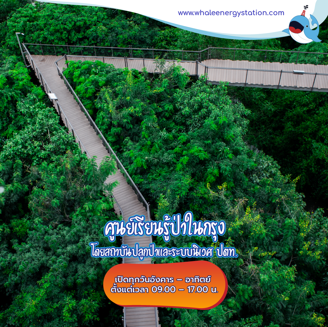 5 พิพิธภัณฑ์และศูนย์เรียนรู้ในกรุงเทพฯ, Whale Energy Station