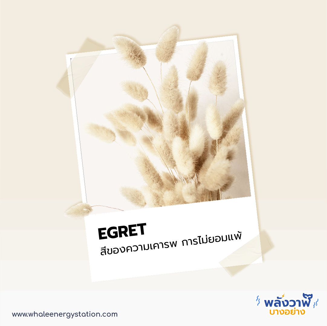 7 เทรนด์สี ปี 2021 กับความหมายสุดปัง!, Whale Energy Station