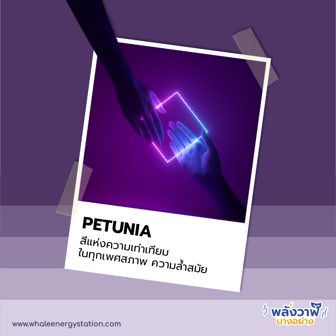 7 เทรนด์สี ปี 2021 กับความหมายสุดปัง!, Whale Energy Station