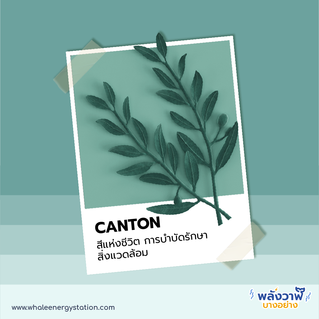 7 เทรนด์สี ปี 2021 กับความหมายสุดปัง!, Whale Energy Station