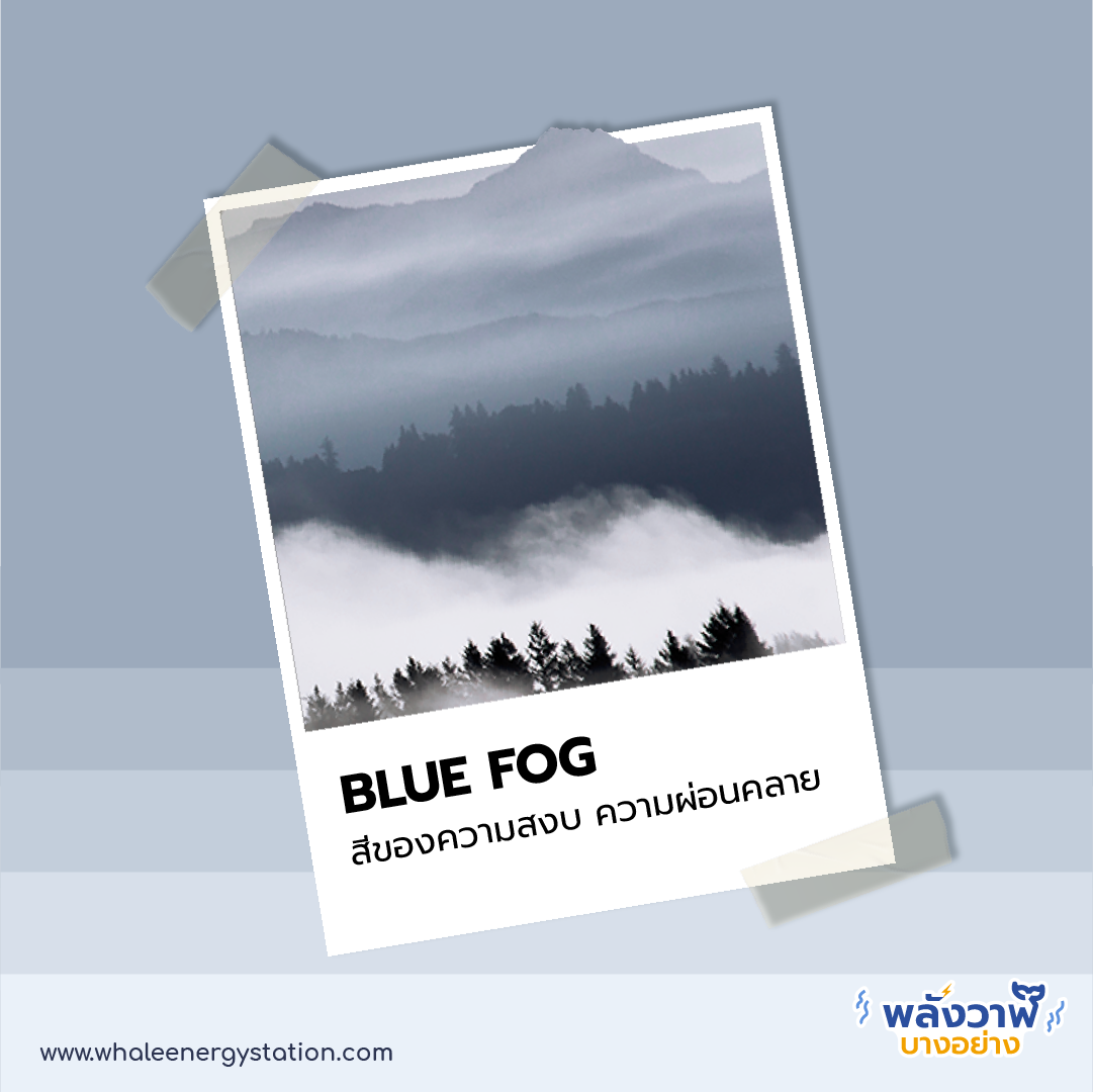 7 เทรนด์สี ปี 2021 กับความหมายสุดปัง!, Whale Energy Station