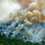 ภัยพิบัติปี 2020 สะท้อนภาวะโลกร้อน, Whale Energy Station