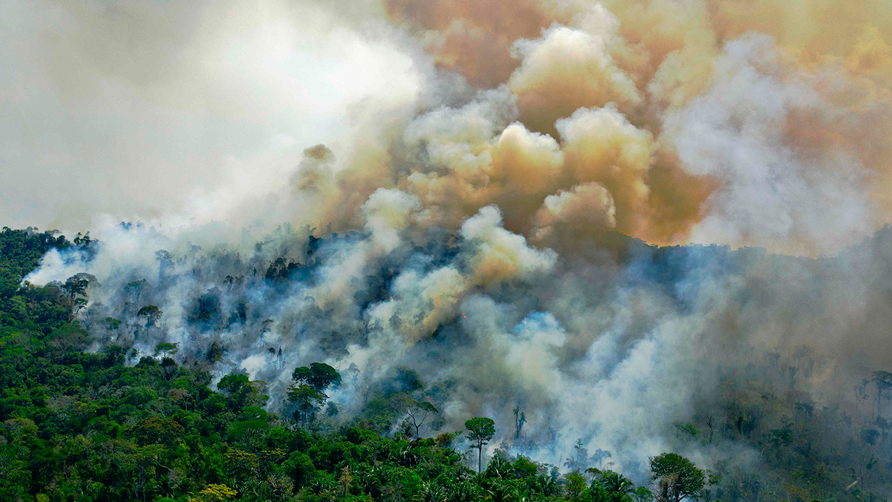 ภัยพิบัติปี 2020 สะท้อนภาวะโลกร้อน, Whale Energy Station