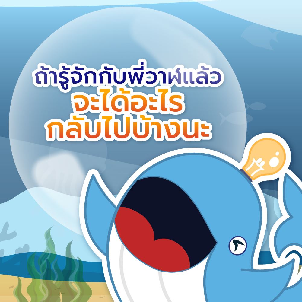 พลังวาฬบางอย่างคืออะไร? มาทำความรู้จักพี่วาฬกันเถอะ!, Whale Energy Station