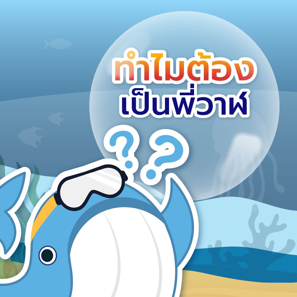 พลังวาฬบางอย่างคืออะไร? มาทำความรู้จักพี่วาฬกันเถอะ!, Whale Energy Station