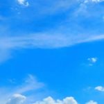 โควิดทำโลกปล่อยคาร์บอนต่ำสุดหลังสงครามโลกครั้งที่สอง, Whale Energy Station