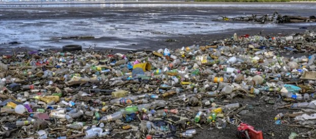 ขวดพลาสติกจากพืช เทคโนโลยีวิถีใหม่ ลดปัญหาขยะและภาวะโลกร้อน, Whale Energy Station