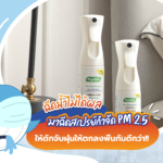 ฉีดน้ำไม่ได้ผล มาฉีดสเปรย์กำจัด PM 2.5 ให้ดักจับฝุ่นให้ตกลงพื้นกันดีกว่า!!, Whale Energy Station