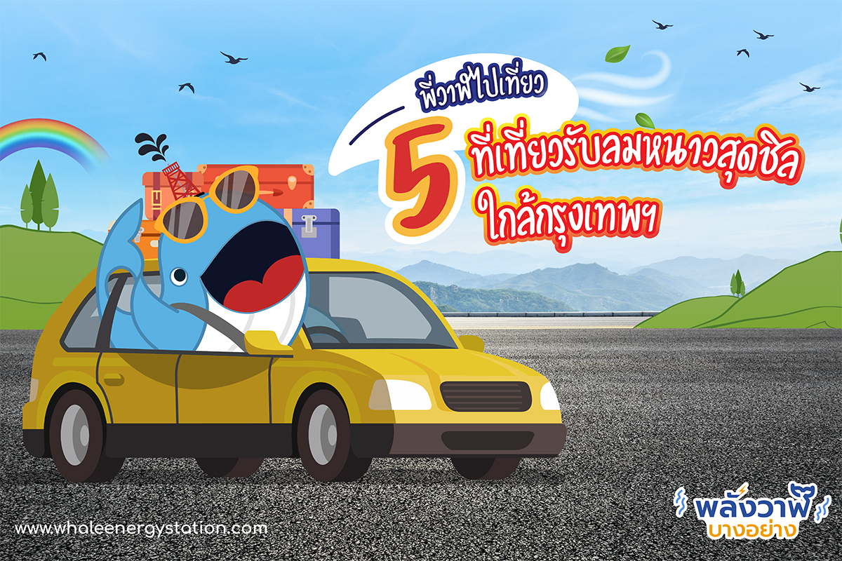 5 ที่เที่ยวรับลมหนาวใกล้กรุงเทพฯ, Whale Energy Station