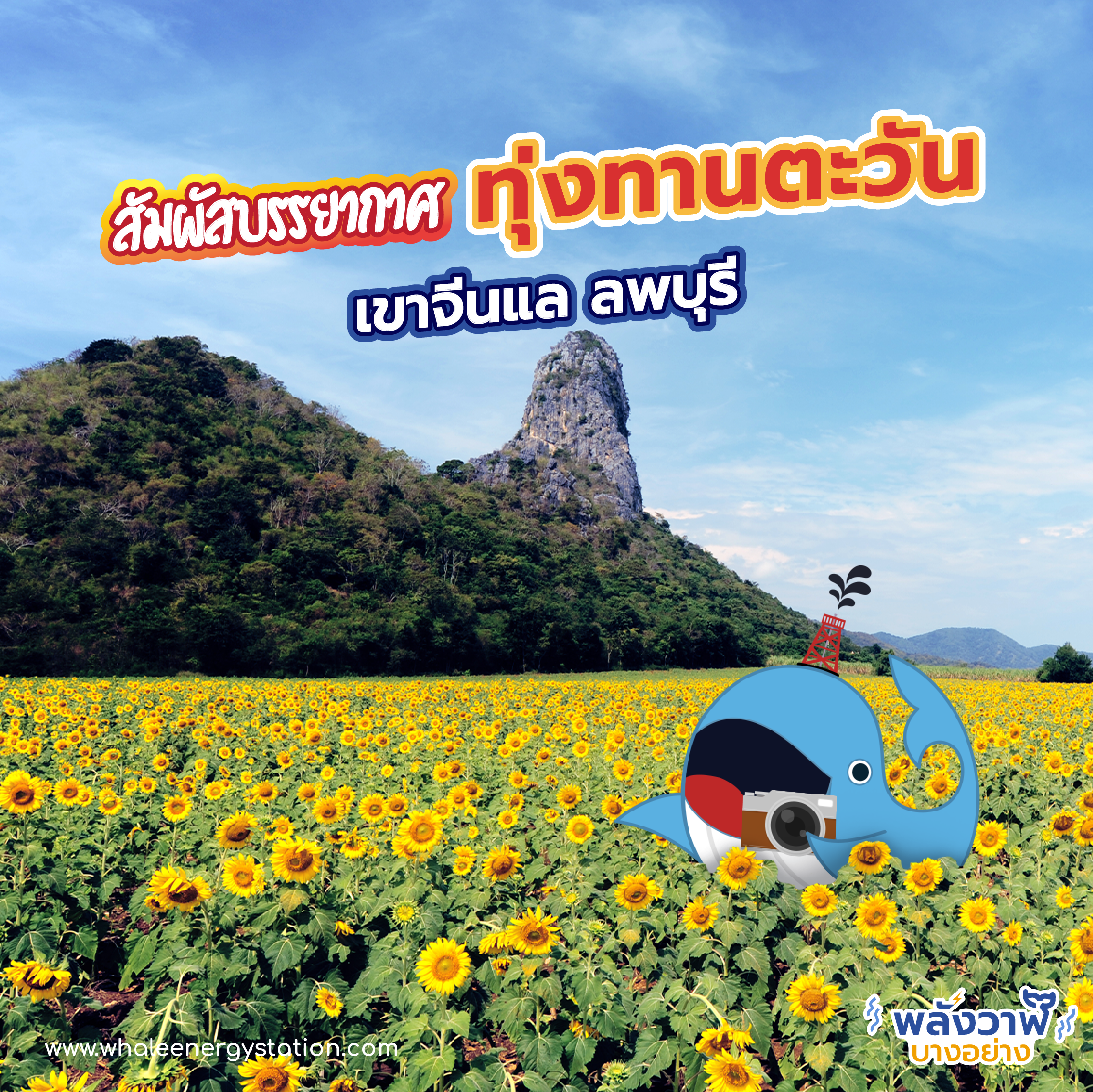 5 ที่เที่ยวรับลมหนาวใกล้กรุงเทพฯ, Whale Energy Station