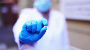 เซ็นเซอร์วัดไฮโดรเจน ได้แรงบันดาลใจมาจากผีเสื้อ, Whale Energy Station