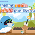 ห้ามพลาด! เทคนิคปลูกต้นไม้ยังไงให้รอด, Whale Energy Station