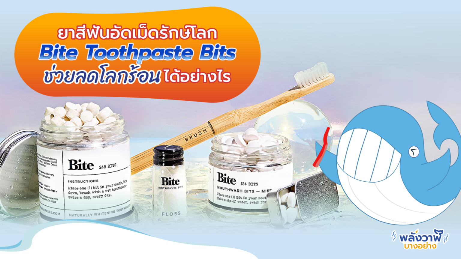 bite toothpaste bits linkedin bite toothpaste bits linkedin