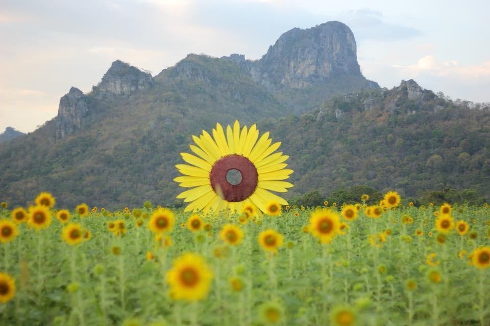 เก็บเข้าลิสต์! หมดโควิดแล้วเจอกัน : 11 สถานที่ท่องเที่ยวธรรมชาติ สูดอากาศบริสุทธิ์ให้เต็มปอด, Whale Energy Station