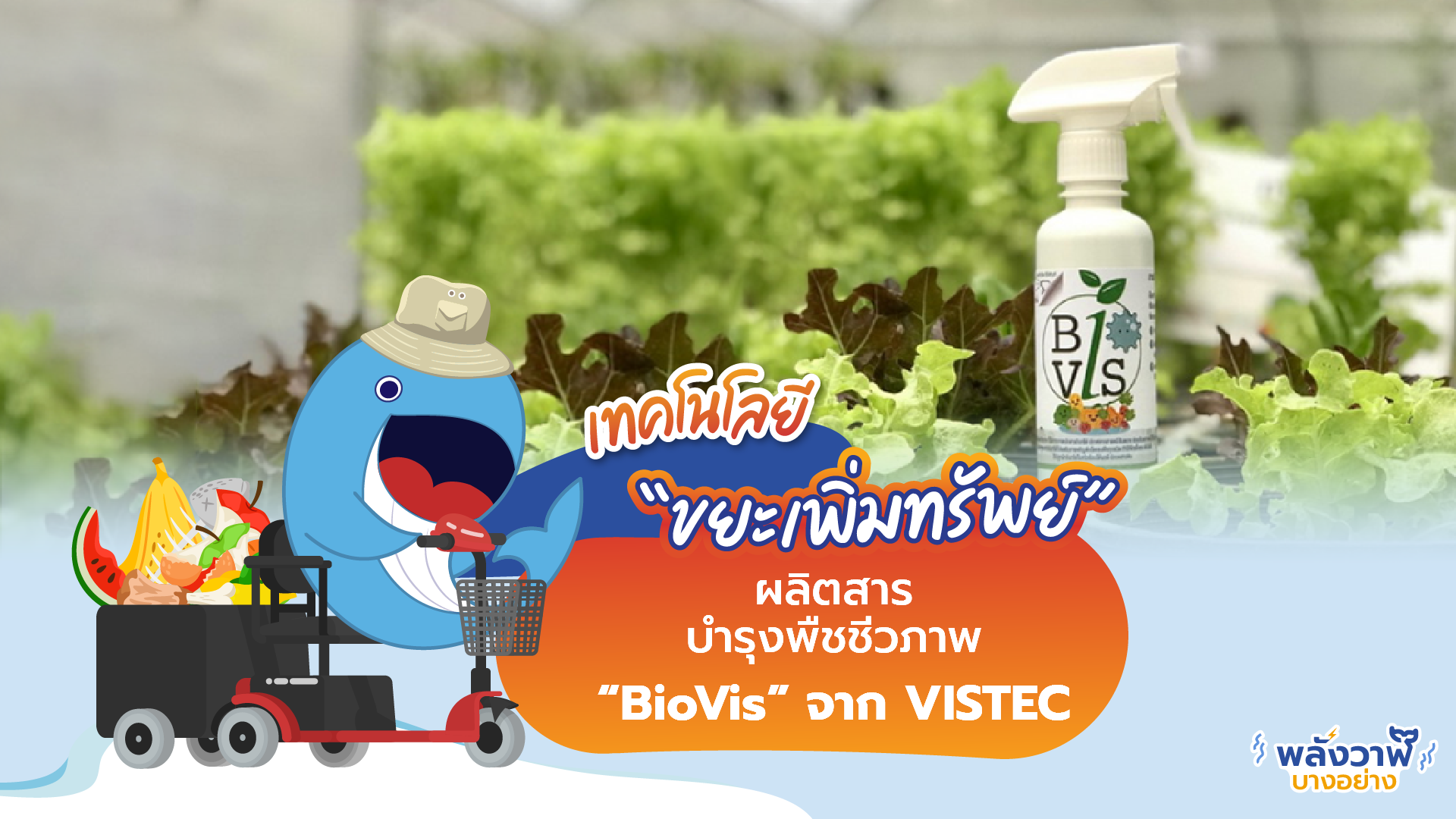 เทคโนโลยี “ขยะเพิ่มทรัพย์” ผลิตสารบำรุงพืชชีวภาพ “BioVis” จาก VISTEC, Whale Energy Station