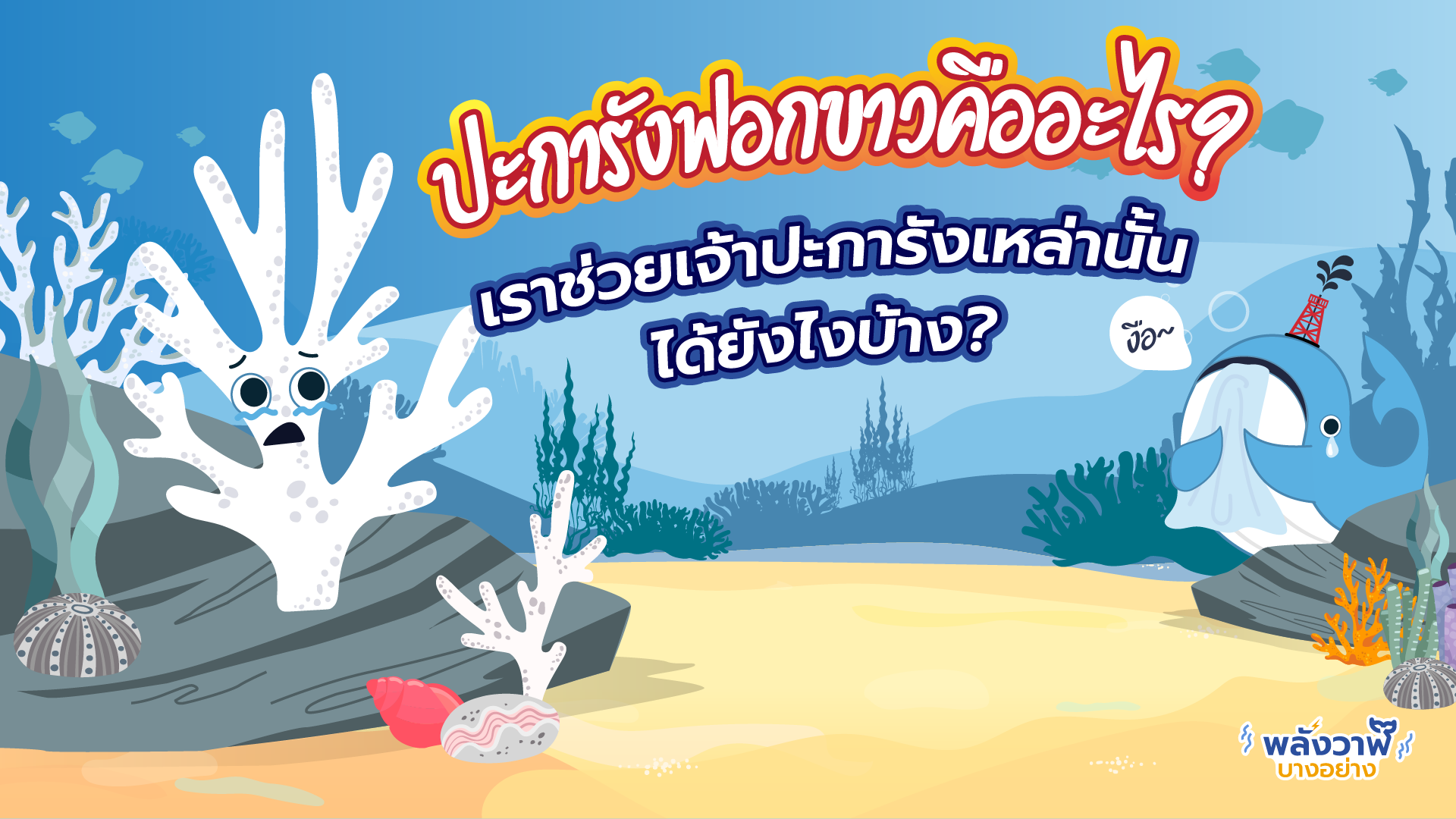 ปะการังฟอกขาวคืออะไร? เราช่วยเจ้าปะการังเหล่านั้นได้ยังไงบ้าง?, Whale Energy Station