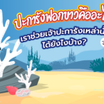 ปะการังฟอกขาวคืออะไร? เราช่วยเจ้าปะการังเหล่านั้นได้ยังไงบ้าง?, Whale Energy Station
