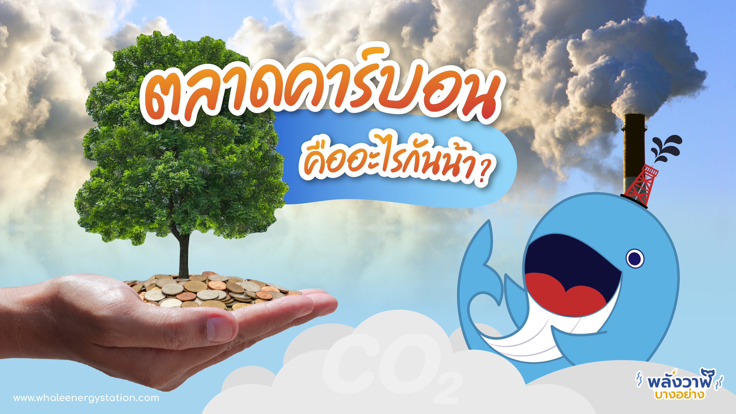 ตลาดคาร์บอน คืออะไรกันน้า?, Whale Energy Station