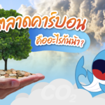 ตลาดคาร์บอน คืออะไรกันน้า?, Whale Energy Station