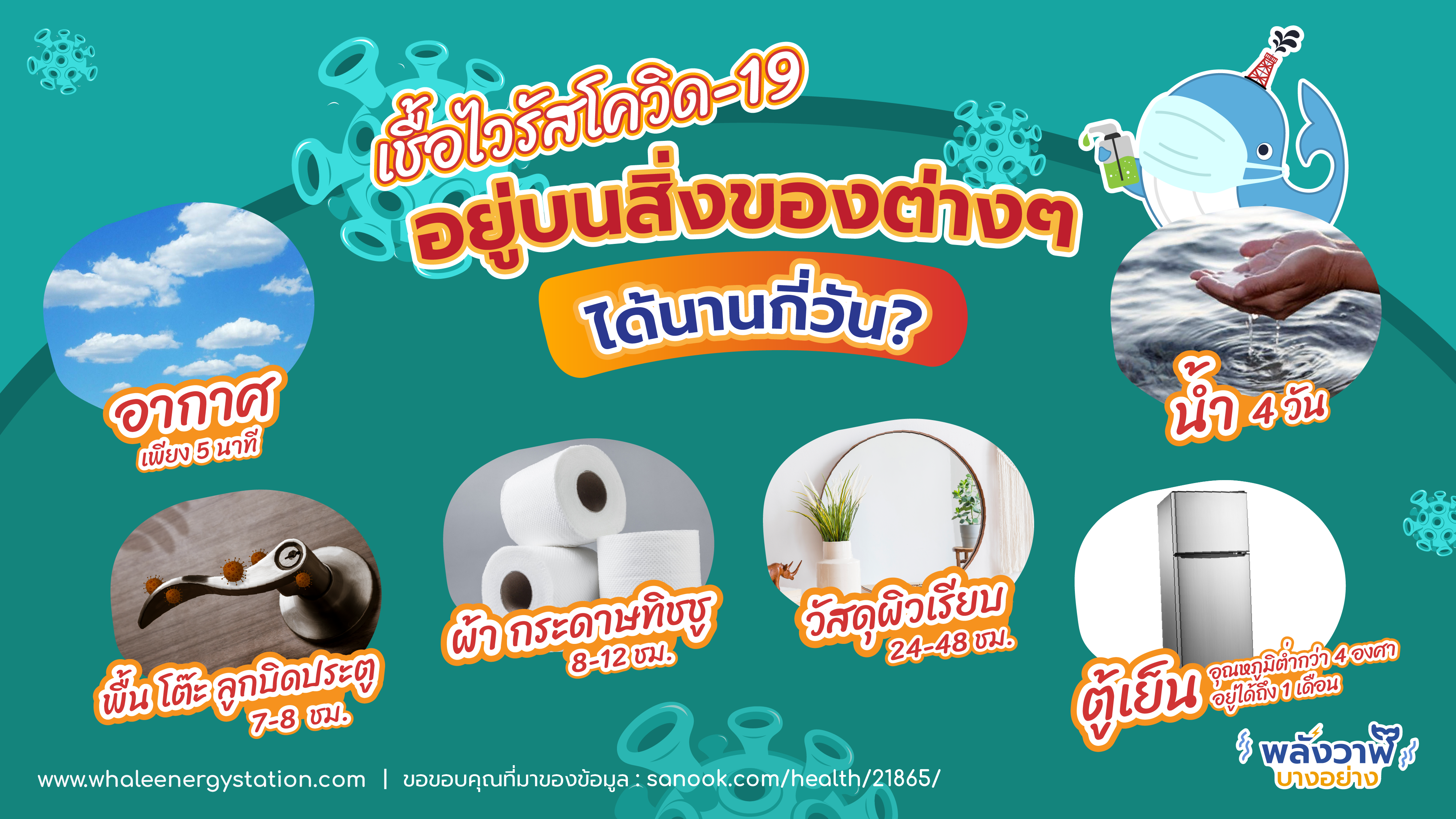 เชื้อไวรัสโควิด-19 อยู่บนสิ่งของต่างๆ ได้นานกี่วัน?, Whale Energy Station