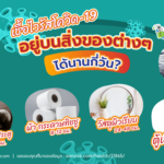 เชื้อไวรัสโควิด-19 อยู่บนสิ่งของต่างๆ ได้นานกี่วัน?, Whale Energy Station