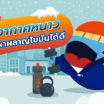 ออกกำลังกายในอากาศหนาว ช่วยเผาผลาญไขมันได้ดี, Whale Energy Station