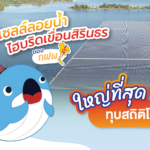 โซลาร์เซลล์ลอยน้ำไฮบริดเขื่อนสิรินธร ของ กฟผ. ใหญ่ที่สุด ทุบสถิติโลก, Whale Energy Station