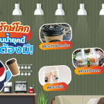หูหิ้วแก้วรักษ์โลก ไอเท็มที่ร้านน้ำยุคนี้ต้องมี!, Whale Energy Station