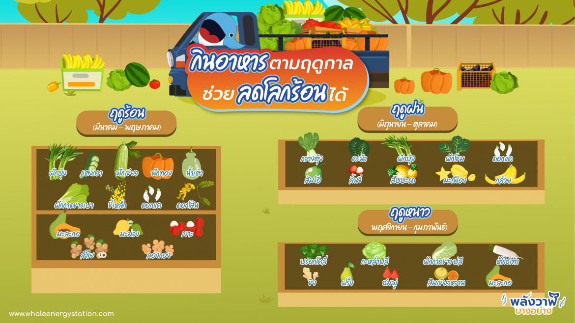 กินอาหารตามฤดูกาล ช่วยลดโลกร้อนได้