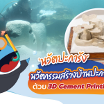 ‘นวัตปะการัง’ นวัตกรรมสร้างบ้านปะการังด้วย 3D Cement Printing, Whale Energy Station