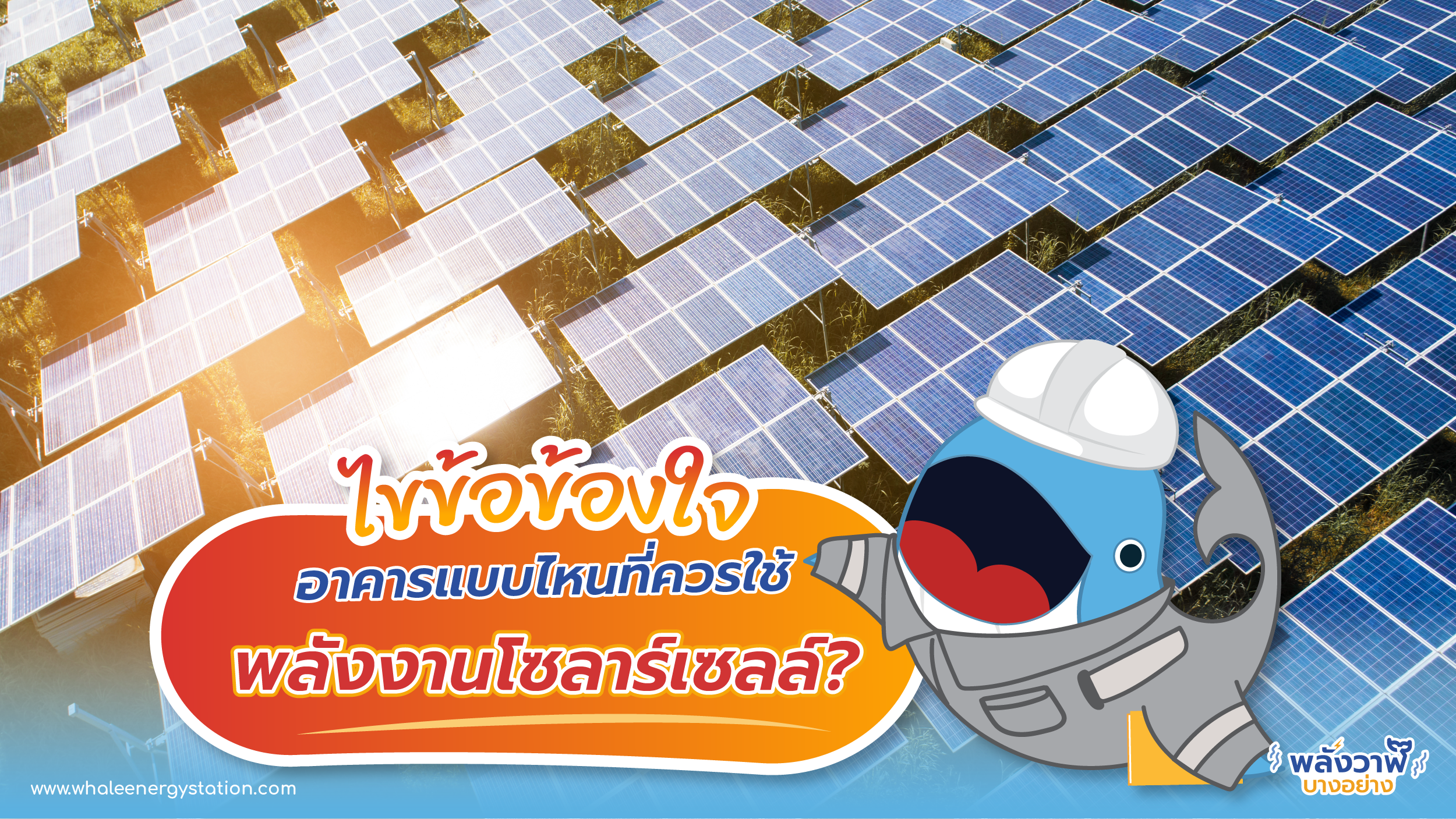 ไขข้อข้องใจ อาคารแบบไหนที่ควรใช้พลังงานโซลาร์เซลล์?, Whale Energy Station