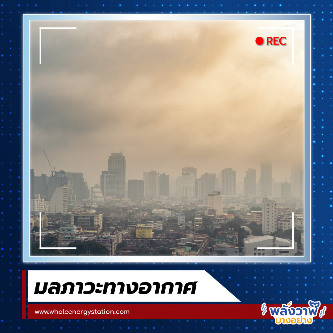 Overview กับพี่วาฬ ปัญหาสิ่งแวดล้อม, Whale Energy Station