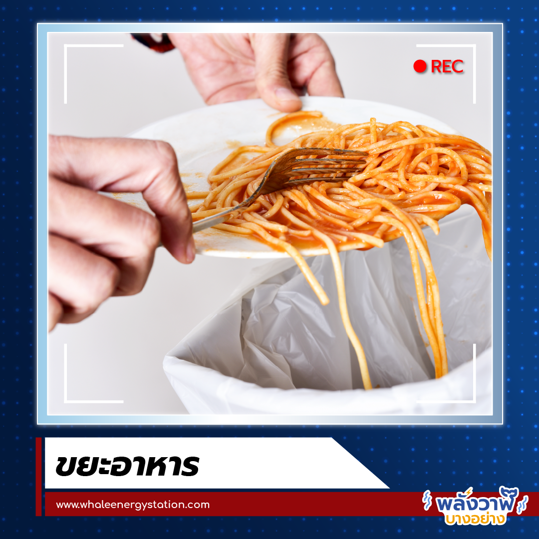 Overview กับพี่วาฬ ปัญหาสิ่งแวดล้อม, Whale Energy Station