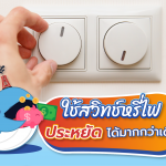 ใช้สวิทช์หรี่ไฟ ประหยัดได้มากกว่าเดิม, Whale Energy Station