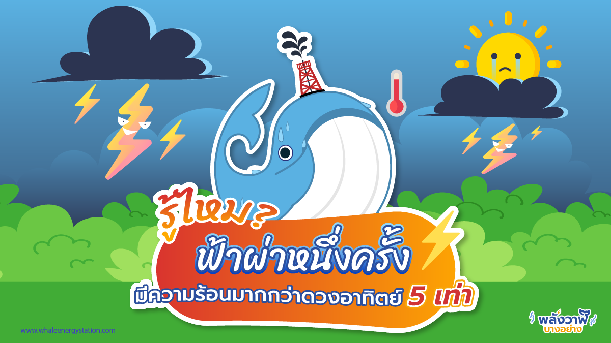 รู้ไหม? ฟ้าผ่าหนึ่งครั้ง มีความร้อนมากกว่าดวงอาทิตย์ 5 เท่า, Whale Energy Station