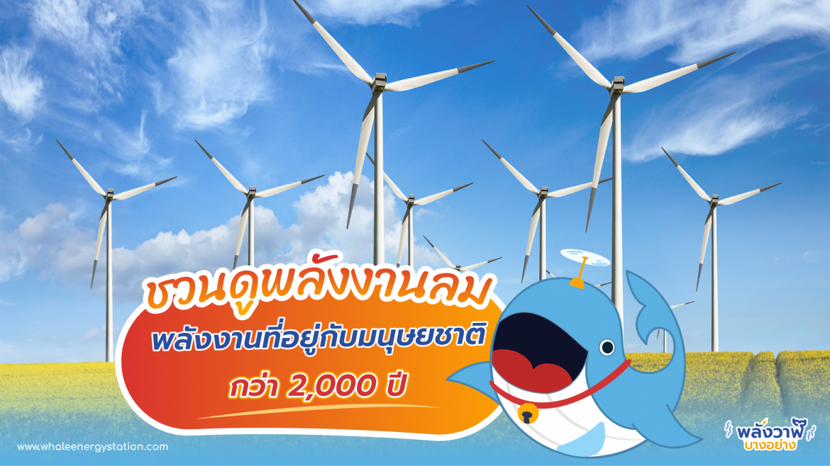 ชวนดูพลังงานลม พลังงานที่อยู่กับมนุษยชาติกว่า 2,000 ปี