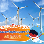 ชวนดูพลังงานลม พลังงานที่อยู่กับมนุษยชาติกว่า 2,000 ปี, Whale Energy Station